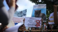 AJI Tanjungpinang Gelar Diskusi Kebebasan Pers di Pulau Penyengat, Serukan Perlindungan untuk Jurnalis