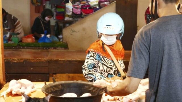 harga ayam naik