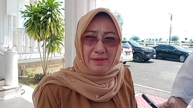 harga sapi naik
