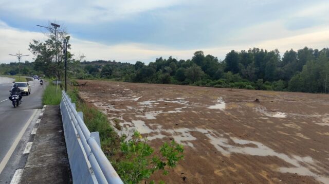 penimbunan mangrove dompak